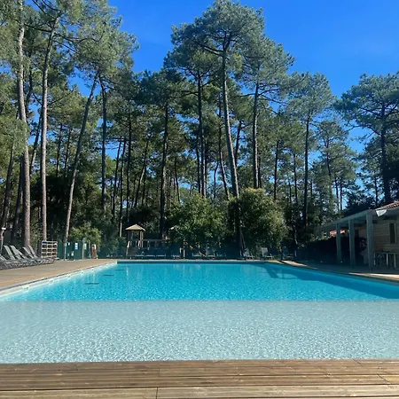 Superbe Sous Les Pins *