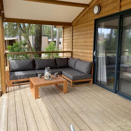 Superbe Sous Les Pins *