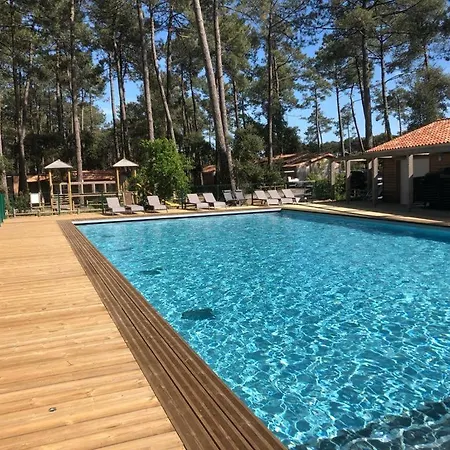 Superbe Sous Les Pins *