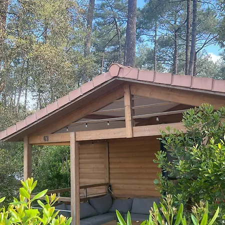 Superbe Sous Les Pins *