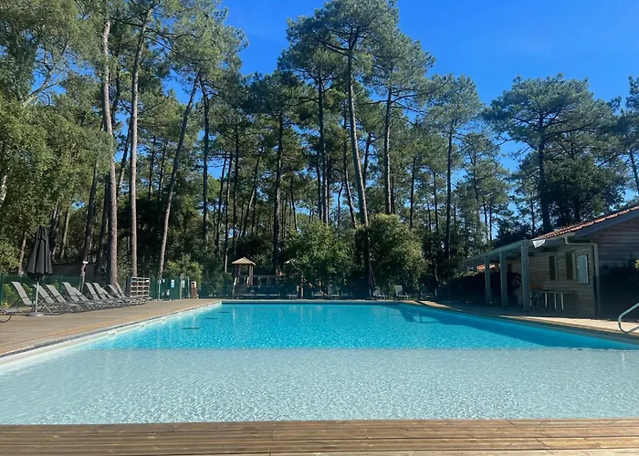 Superbe Sous Les Pins *