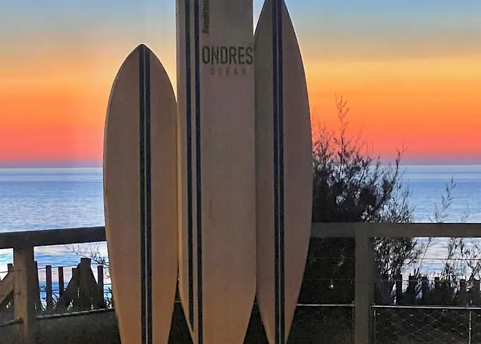 בקתה Superbe Sous Les Pins *