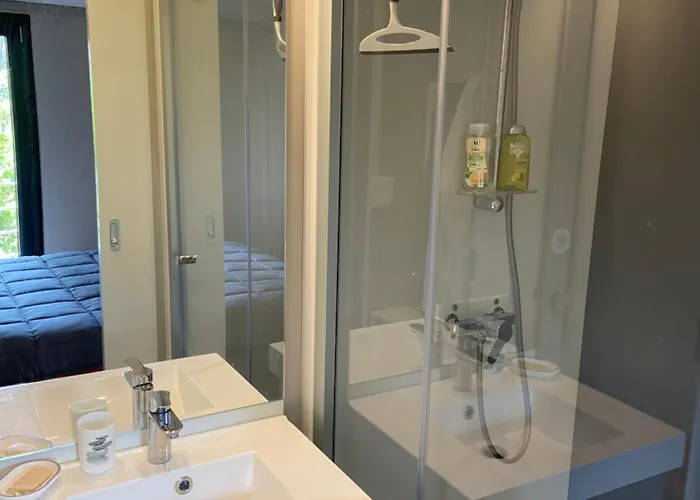 Superbe Sous Les Pins