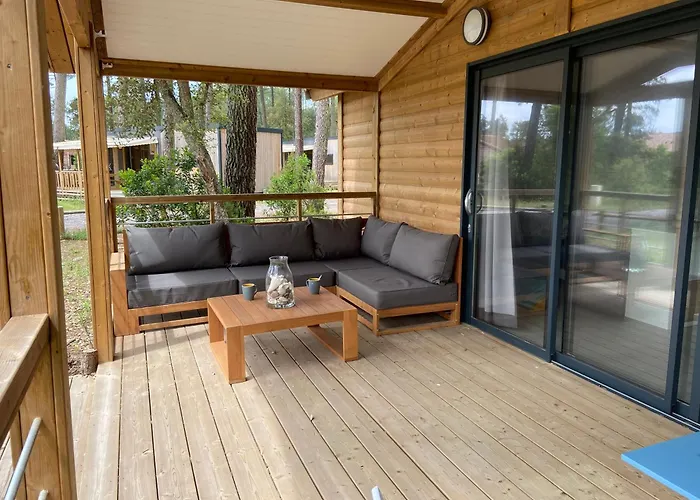 Superbe Sous Les Pins *