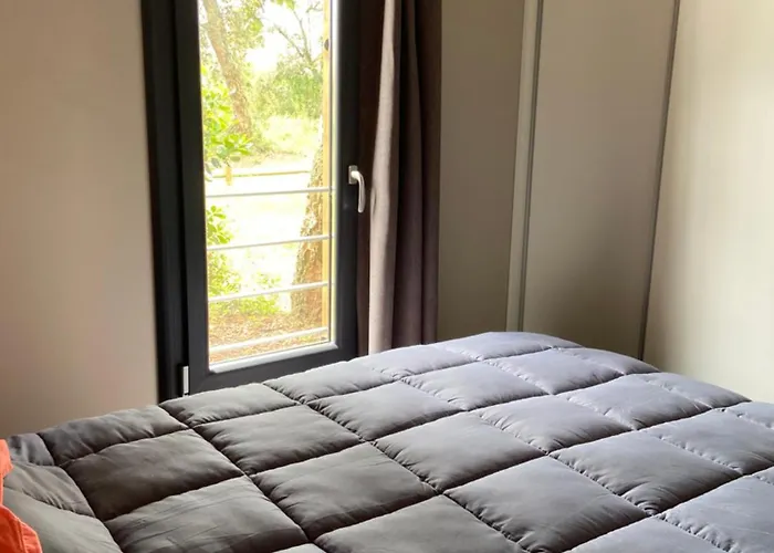 Superbe Sous Les Pins