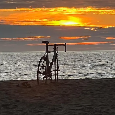 Superbe Sous Les Pins Chalet Ondres