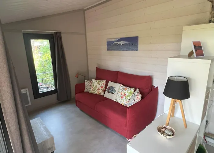 Superbe Sous Les Pins Chalet