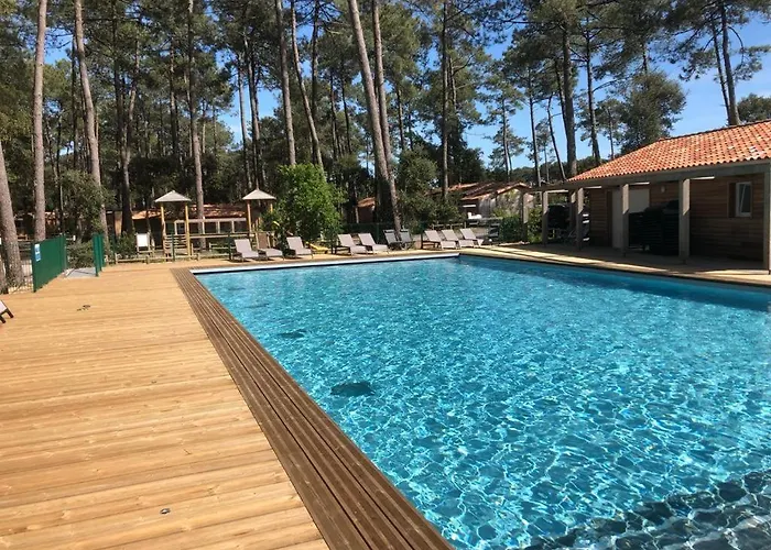 Superbe Sous Les Pins *